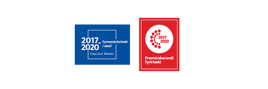 A.Wendel ehf er í landsliðinu í rekstri árið 2020
