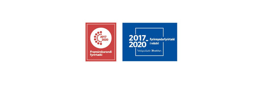 Wendel framúrskarandi og fyrirmyndar fyrirtæki 2020