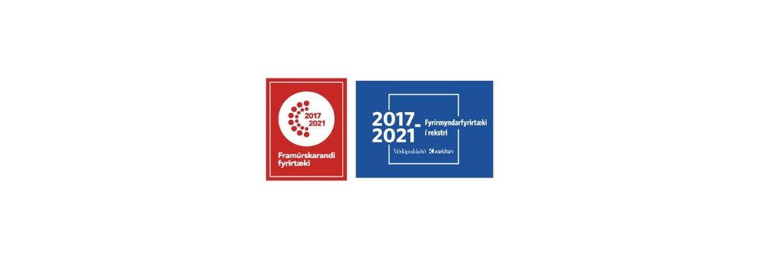 Viðurkenningar 2021 hjá Wendel
